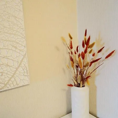 Panorama Plaza Apartment *